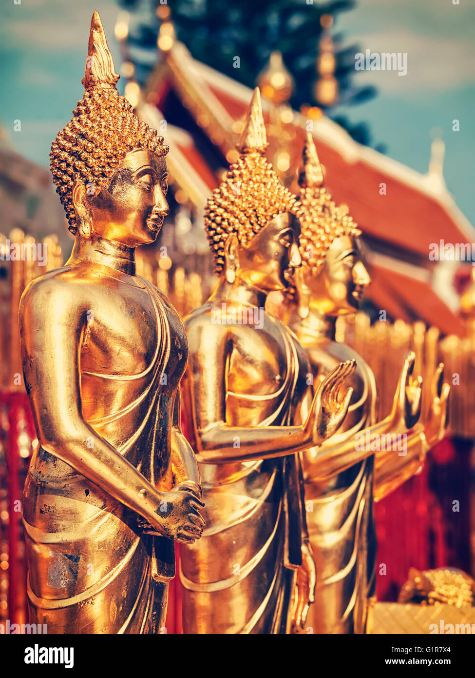 Goldene Buddhastatuen im Wat Phra, die Doi Suthep Stockfoto