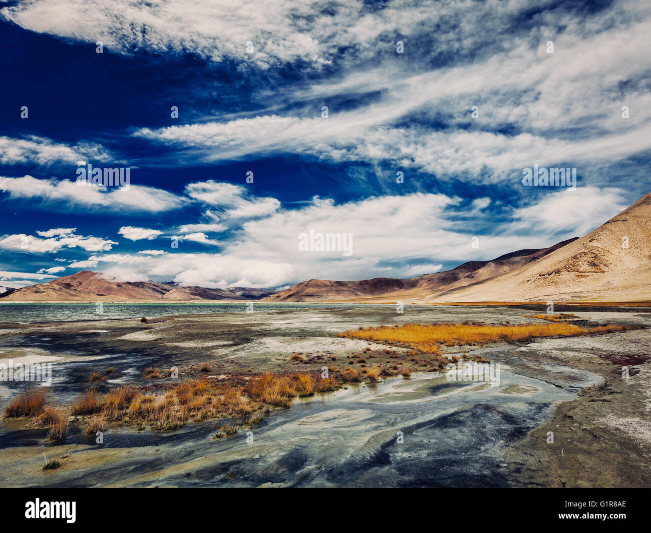 Salt Lake Tso Kar im Himalaya. Ladakh, Indien Stockfoto