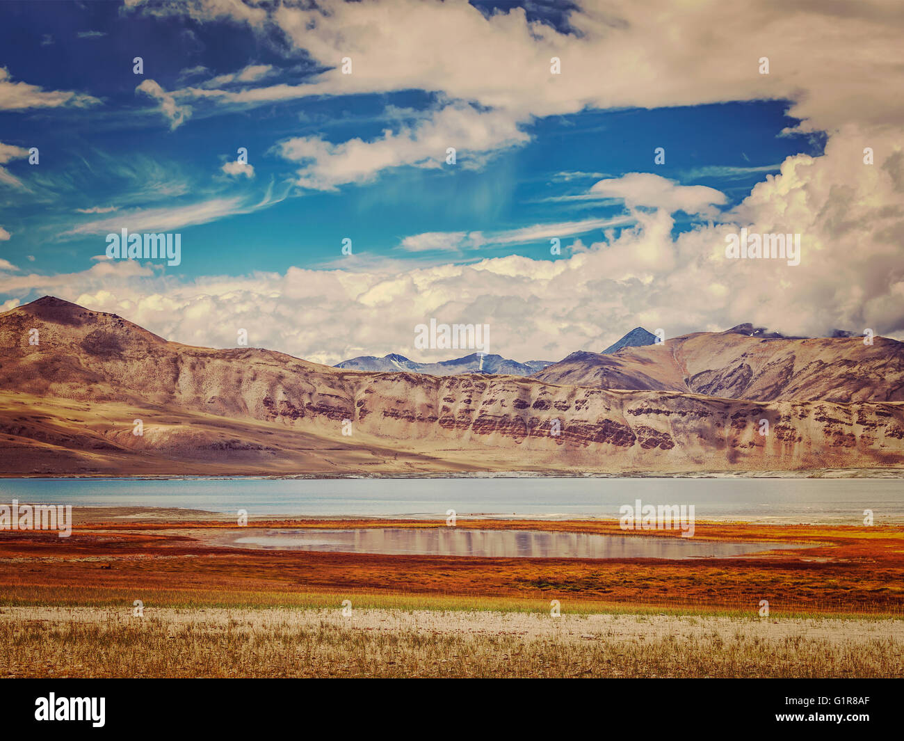Salt Lake Tso Kar im Himalaya. Ladakh, Indien Stockfoto