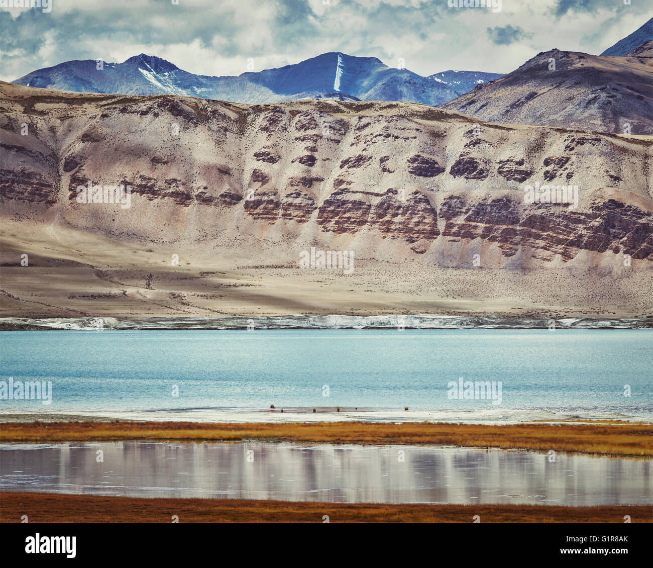 Salt Lake Tso Kar im Himalaya. Ladakh, Indien Stockfoto