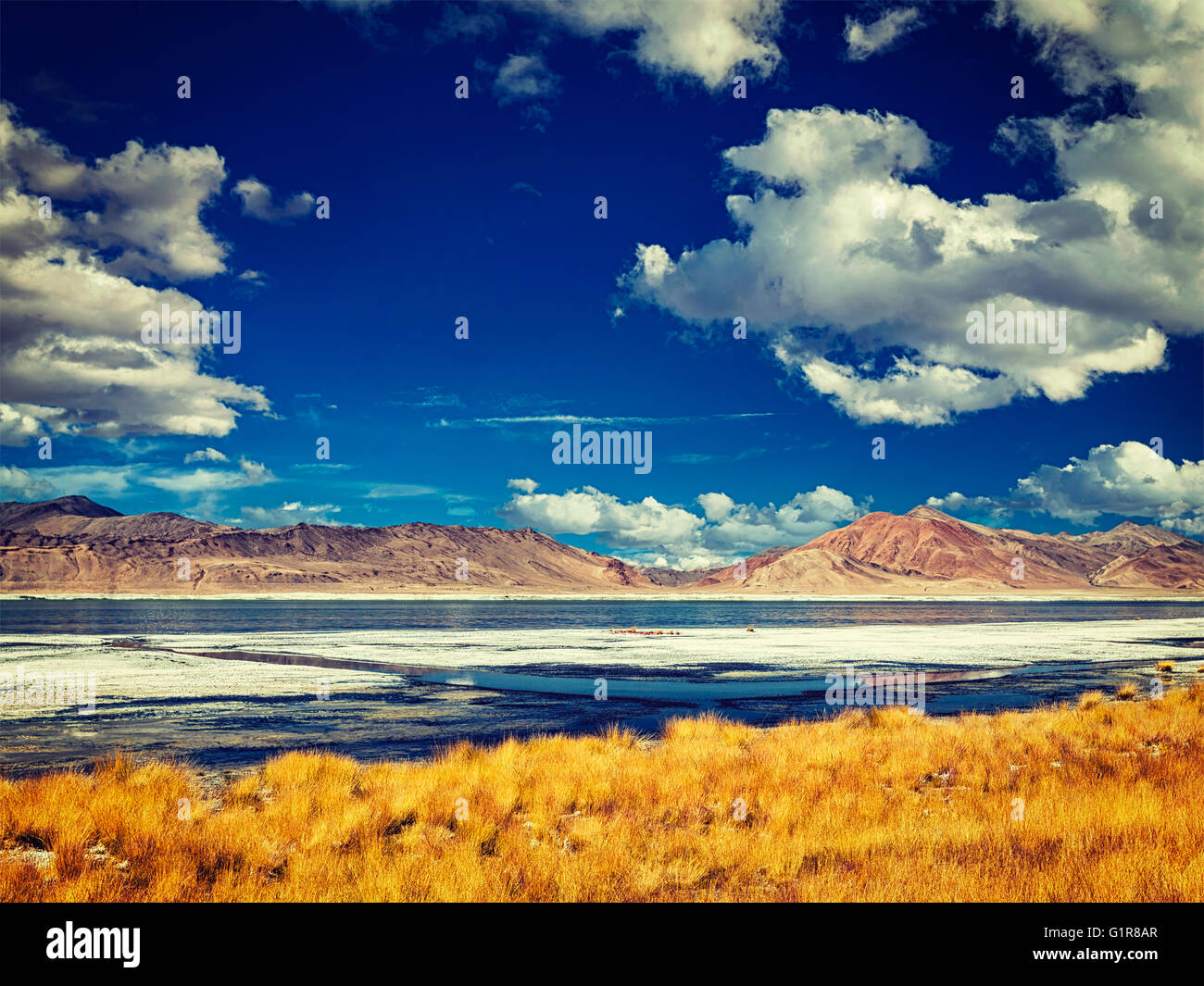Salt Lake Tso Kar im Himalaya. Ladakh, Indien Stockfoto