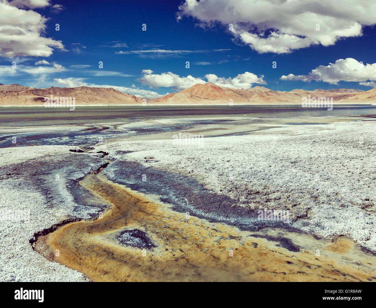 Salt Lake Tso Kar im Himalaya. Ladakh, Indien Stockfoto
