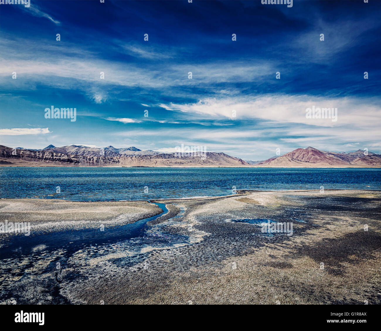 Salt Lake Tso Kar im Himalaya. Ladakh, Indien Stockfoto