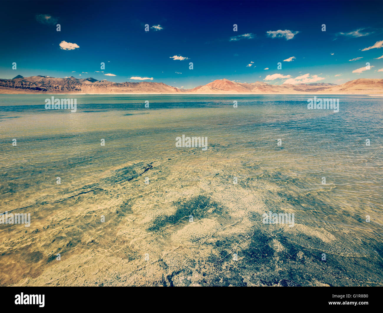 Salt Lake Tso Kar im Himalaya. Ladakh, Indien Stockfoto