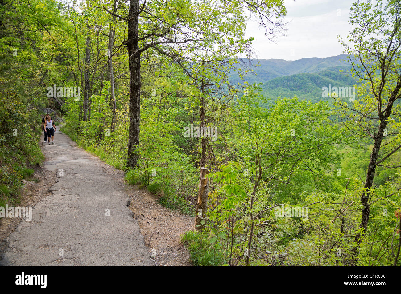 Great-Smoky-Mountains-Nationalpark, Tennessee - Wanderungen auf den Spuren von Laurel fällt. Stockfoto