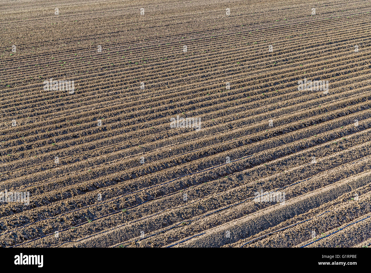 die Furchen ein gepflügtes Feld Stockfoto