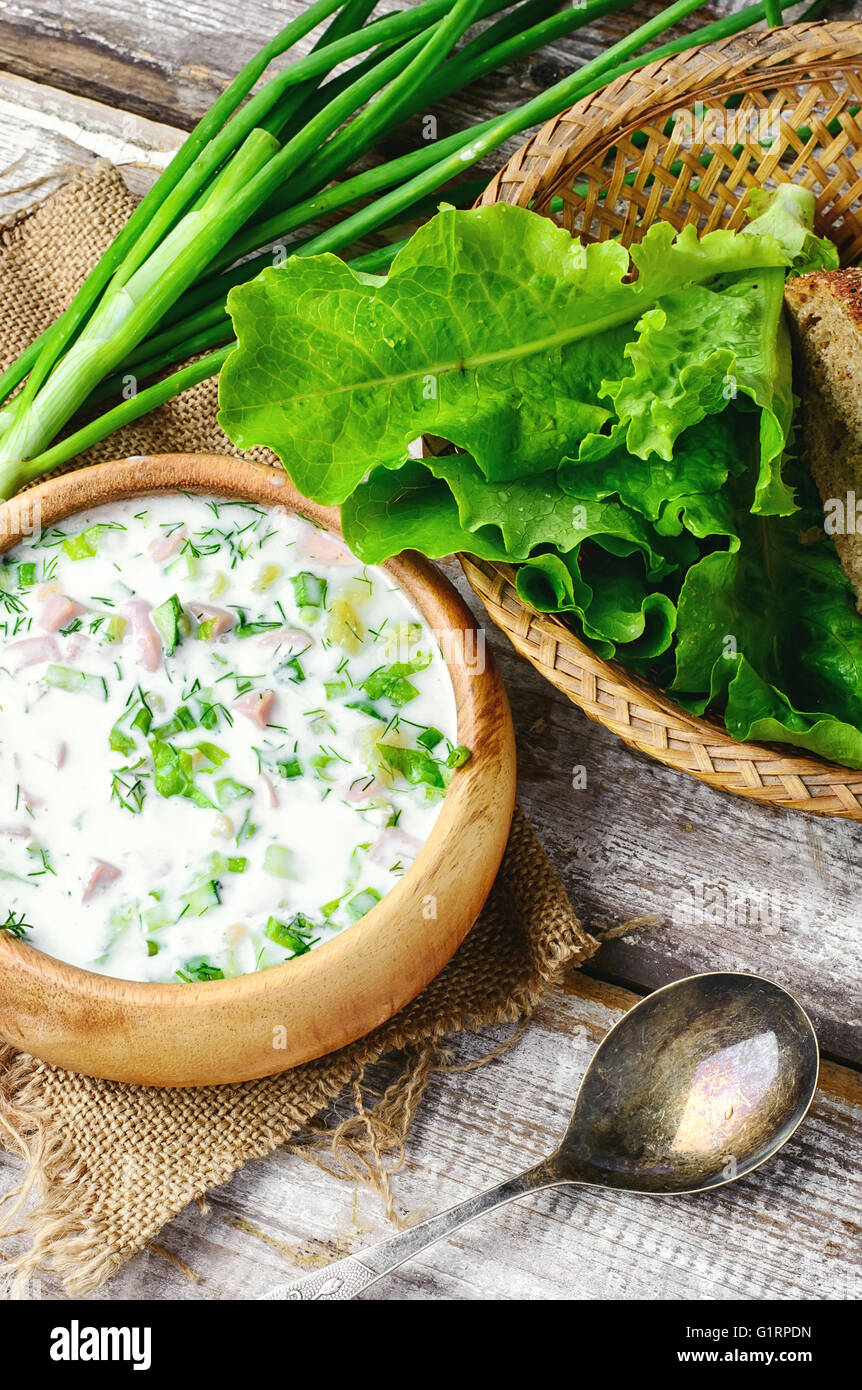 Okroschka, eine kalte Sommer Suppe aus frischem Gemüse, Fleisch und Joghurt Stockfoto