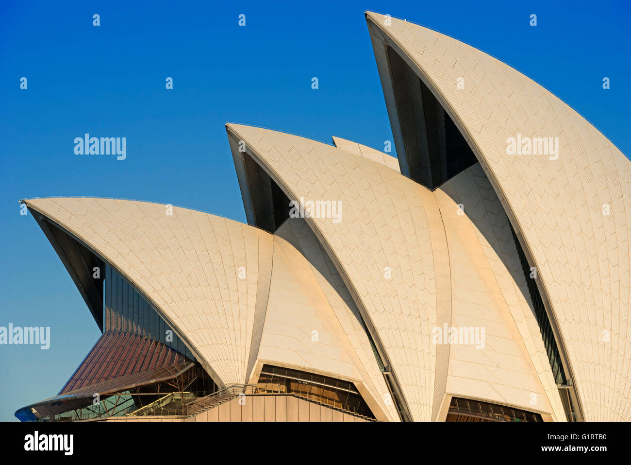 Sydney Sydney Opera House, Detail, Sydney, New South Wales, Australien Stockfoto