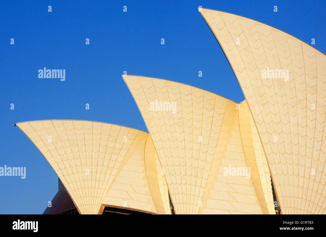 Sydney Opera House, Detail, Sydney, New South Wales, Australien Stockfoto