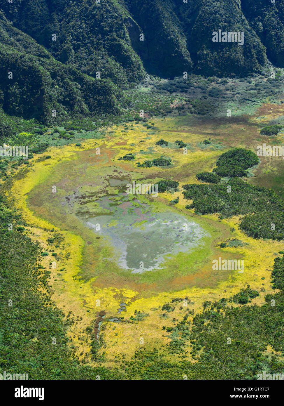 Boden der Caldera, Vulkan Cabeço Gordo, Faial, Azoren, Portugal Stockfoto