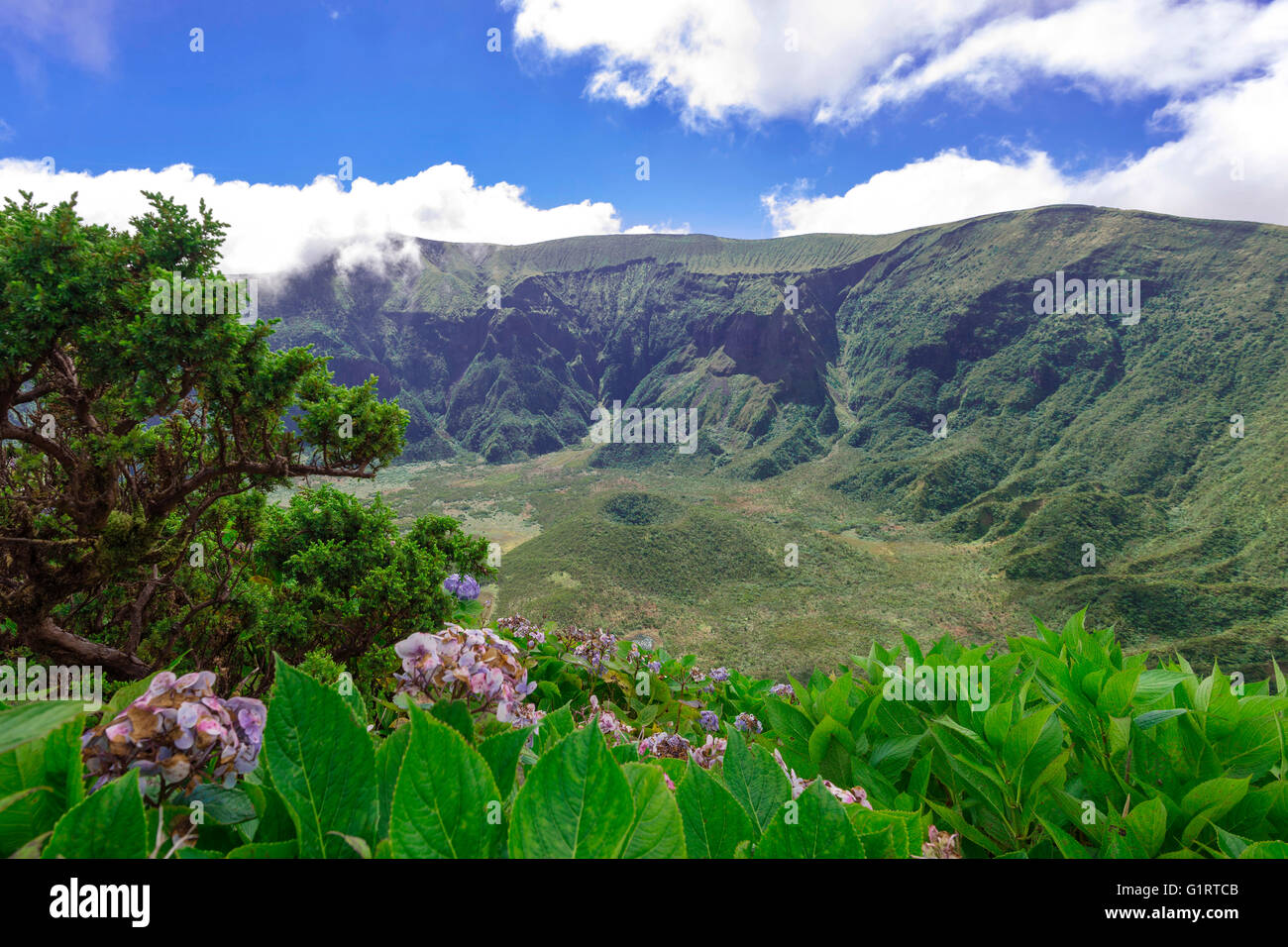 Caldera, Vulkan Cabeço Gordo, Faial, Azoren, Portugal Stockfoto
