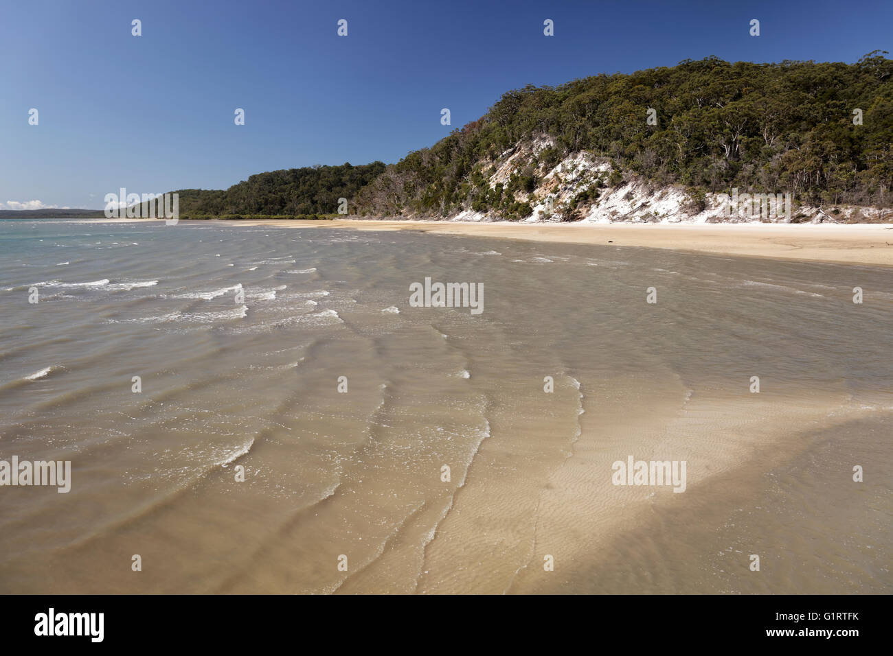 Bucht mit Strand und Klippen, UNESCO-Weltkulturerbe, Fraser Island, große sandige Strand-Nationalpark, Queensland, Australien Stockfoto