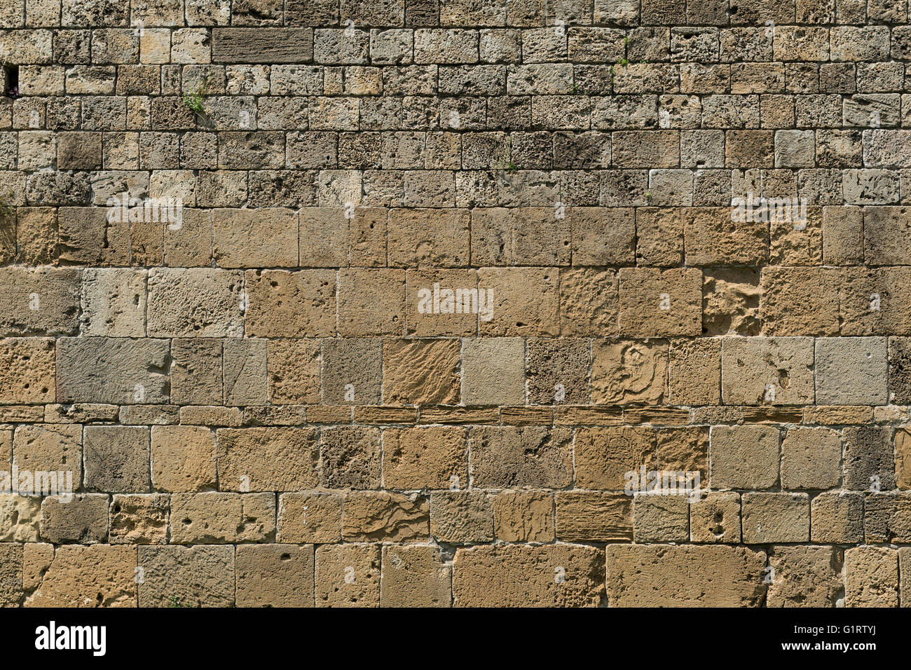 Alte Mauer aus behauenen Stein, Piazza del Duomo, Piazza dei Miracoli, Provinz Pisa, Toskana, Italien Stockfoto