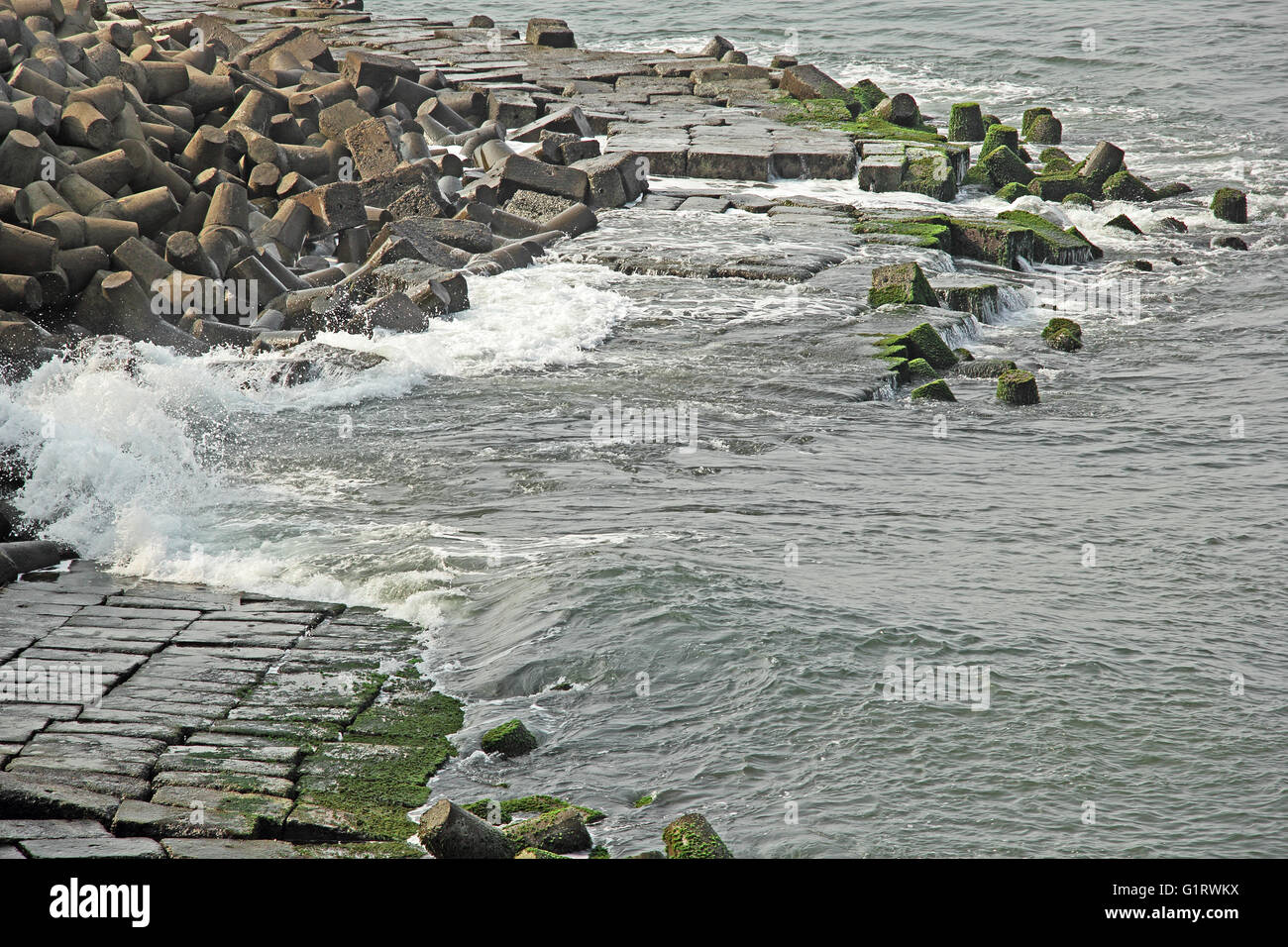 Meereswellen auffällig auf Wand aus riesigen konkrete Tetrapoden und Blöcke, Schutz von Land aus Seeabnutzung in Goa, Indien Stockfoto