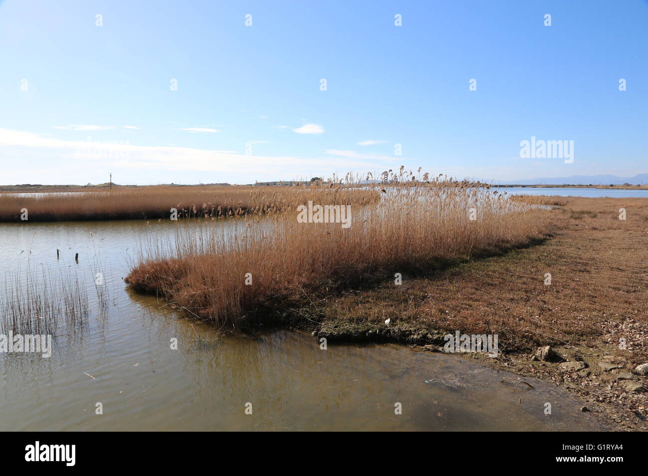 Griechenland, Vistonida-See Stockfoto