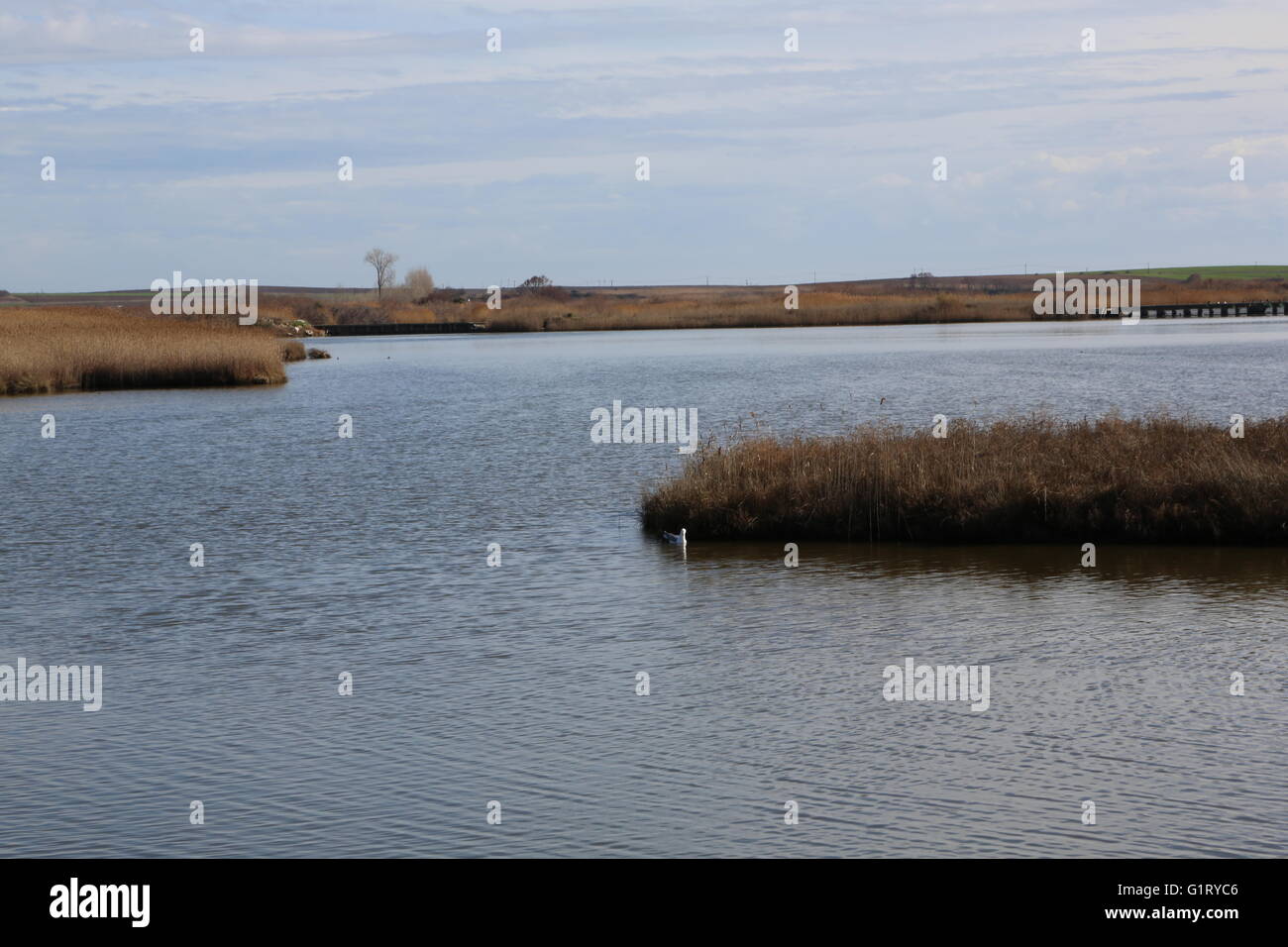 Griechenland, Vistonida-See Stockfoto