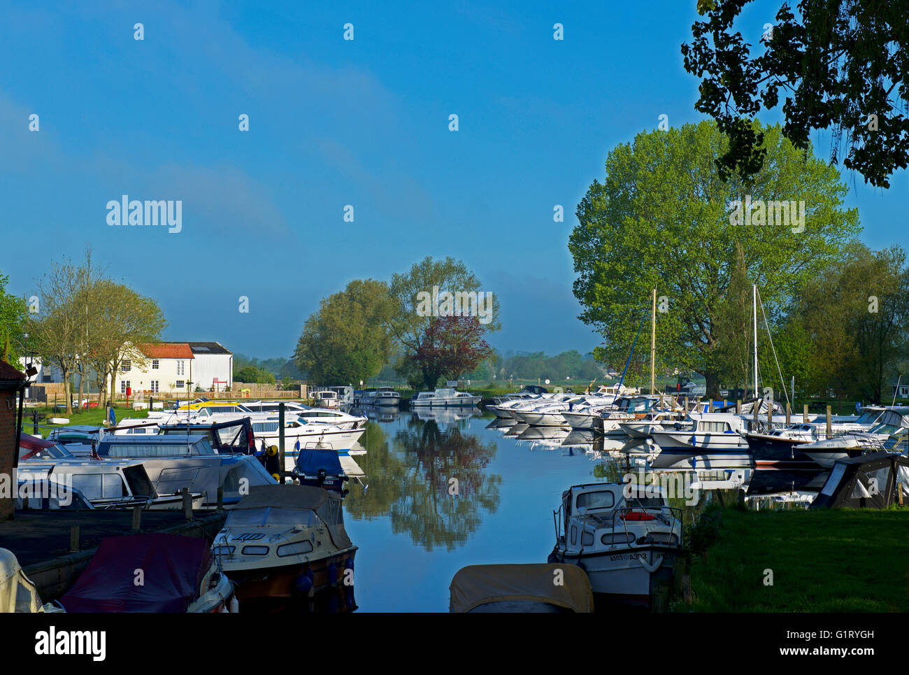 Boote vertäut am Fluß Waveney bei Beccles, Suffolk, England UK Stockfoto