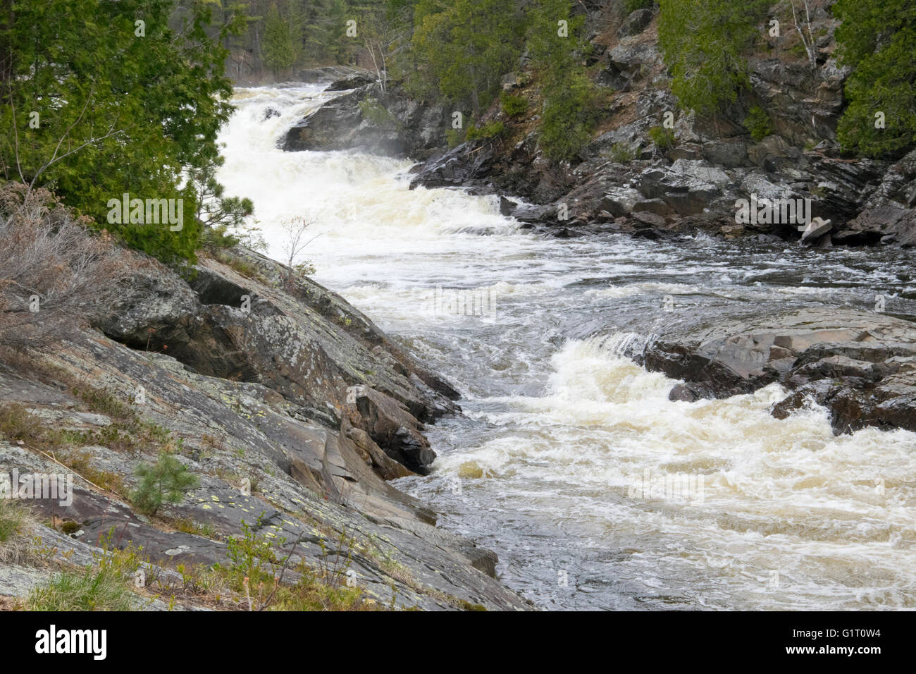 Wasserfälle auf Aux Sable River, Ontario, Kanada. Stockfoto