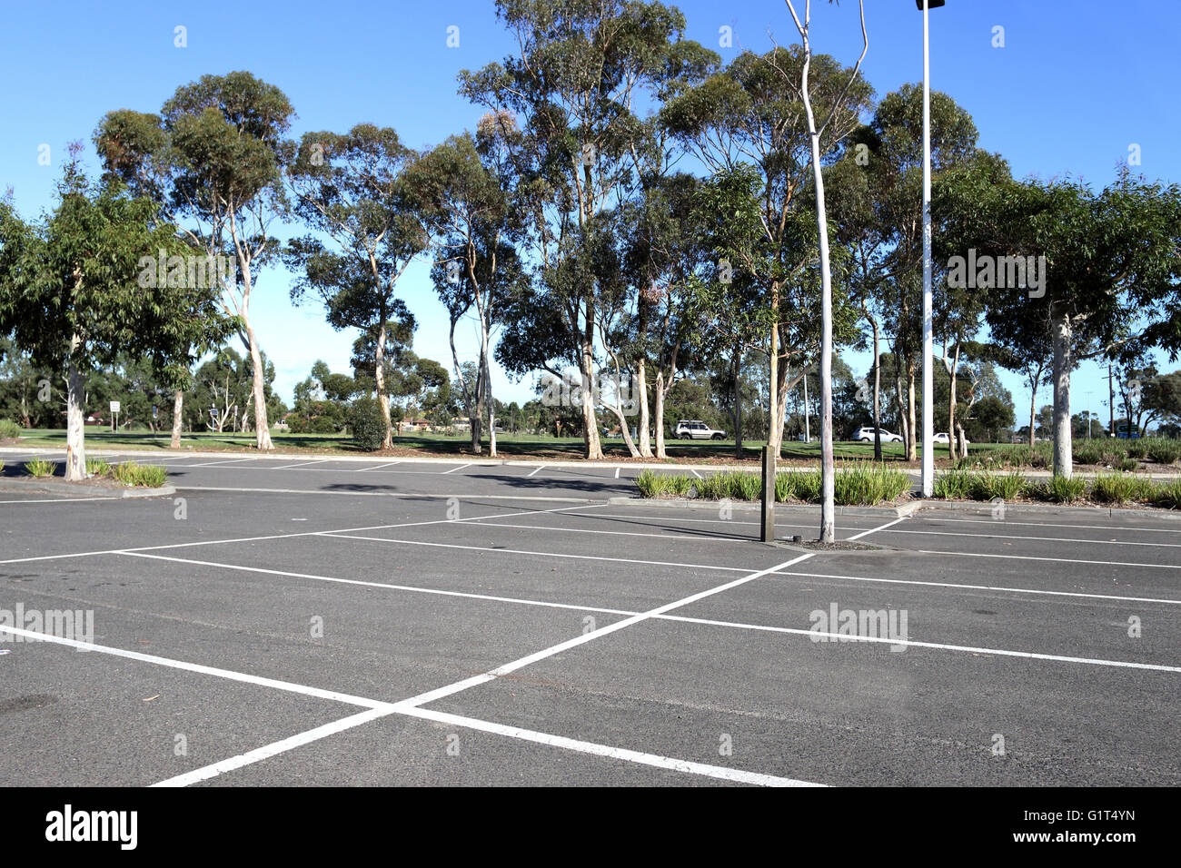 Leeren Parkplatz mit Bäumen im Hintergrund und blauem Himmel Stockfoto
