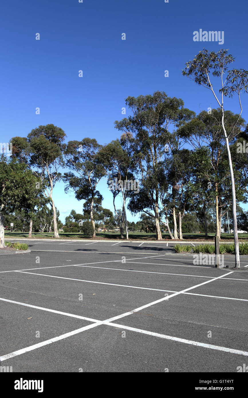 Leeren Parkplatz mit Bäumen im Hintergrund und blauem Himmel Stockfoto