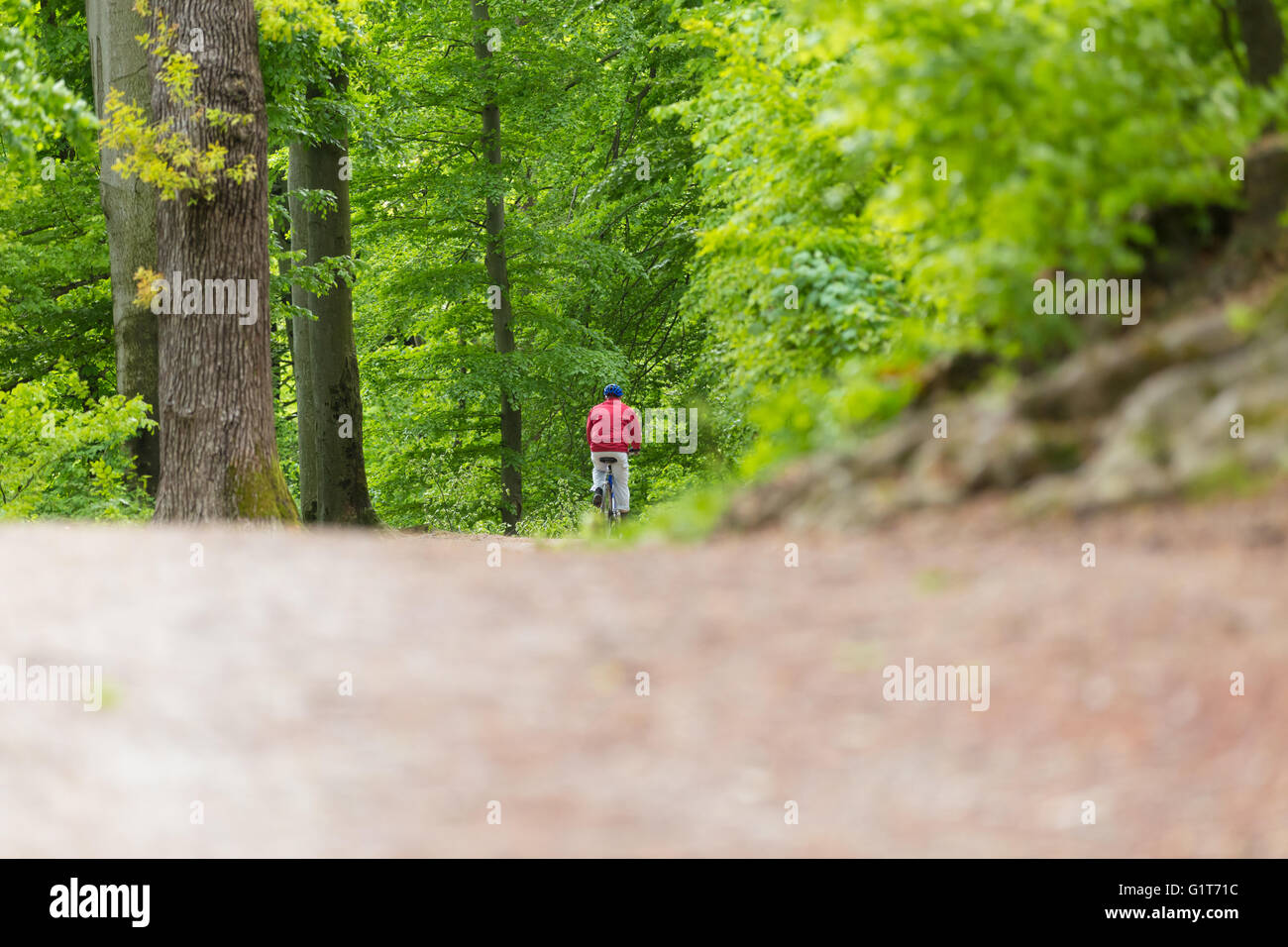 Radsportler Fahrrad auf Waldweg. Stockfoto
