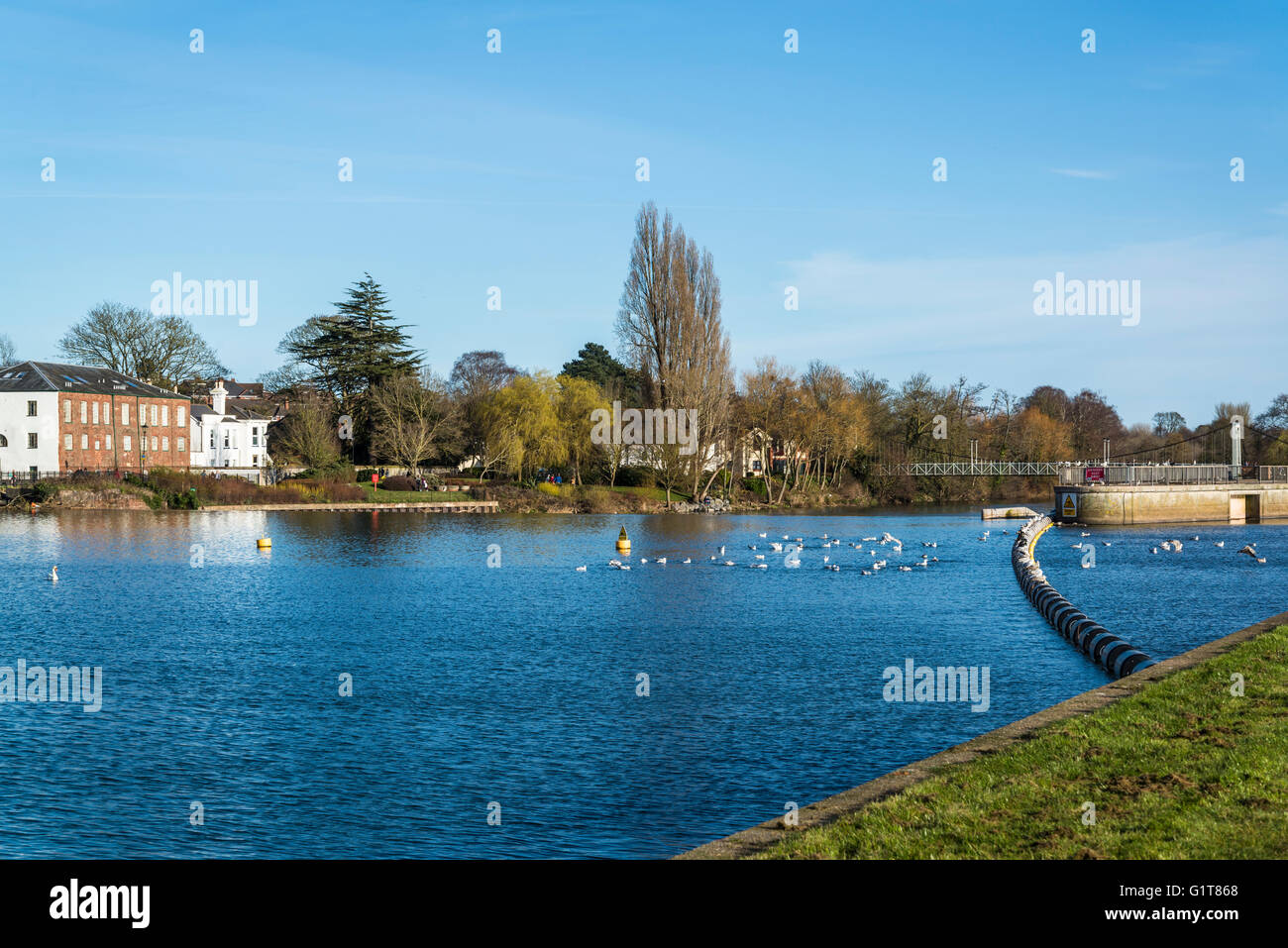 Exeter, Fluß Exe, Devon, England, Vereinigtes Königreich Stockfoto