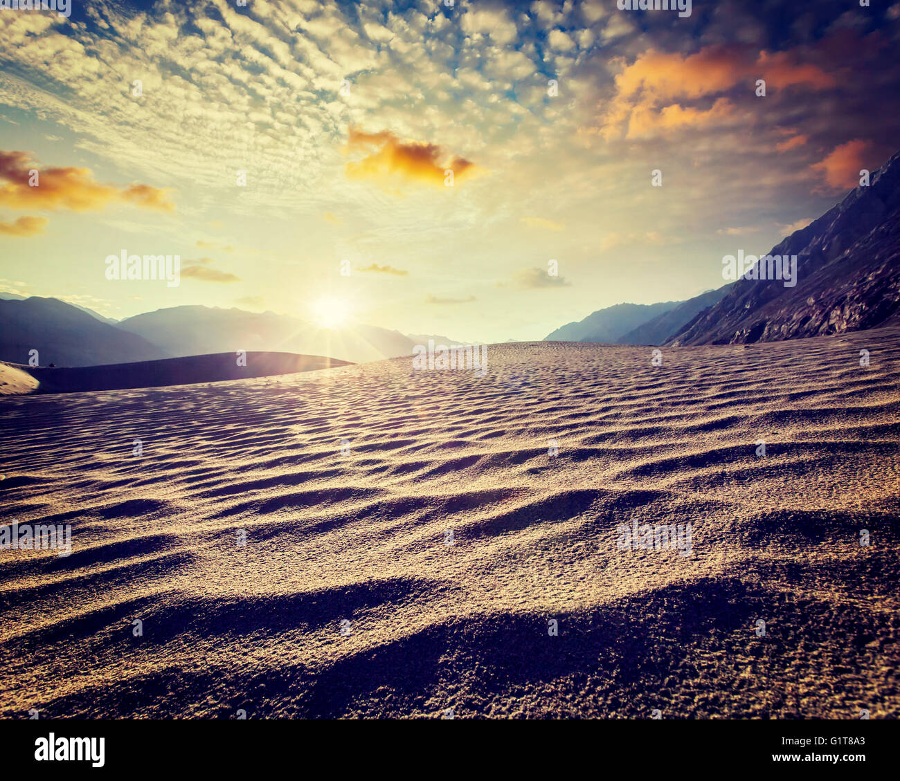 Sanddünen. Nubra Tal, Ladakh, Indien Stockfoto