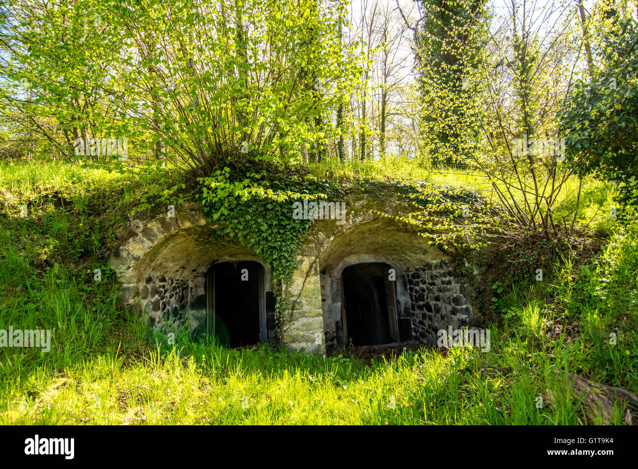 Saint Vincent-Dorf. Keller der alten Käse. Puy de Dome. Frankreich Stockfoto