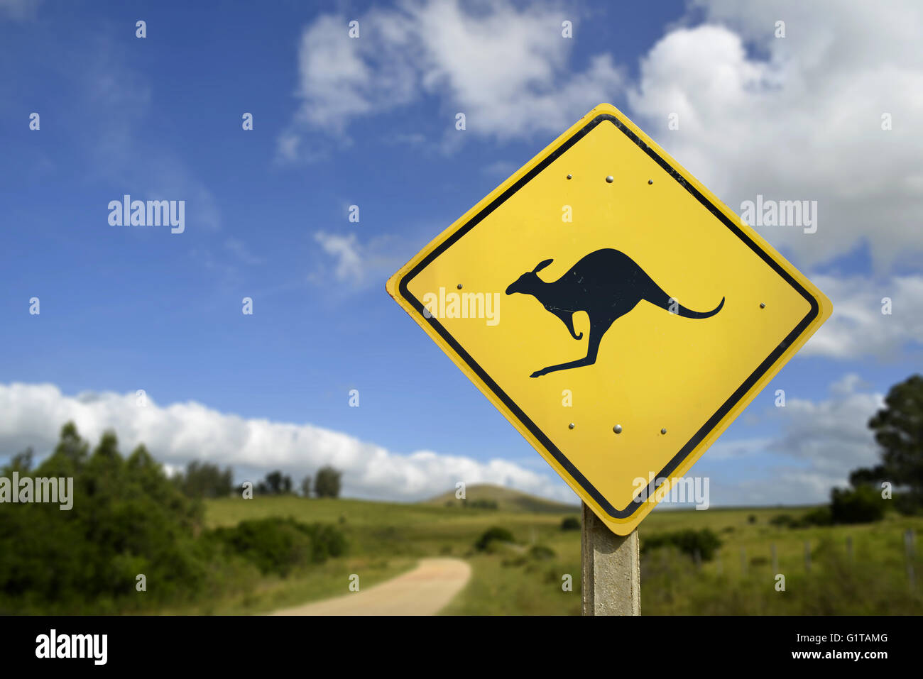 Känguru-Kreuzungen, wild-Tierschutz-Konzept. Straße Zeichen Symbol in Wildnis Umgebung mit Textfreiraum. Stockfoto
