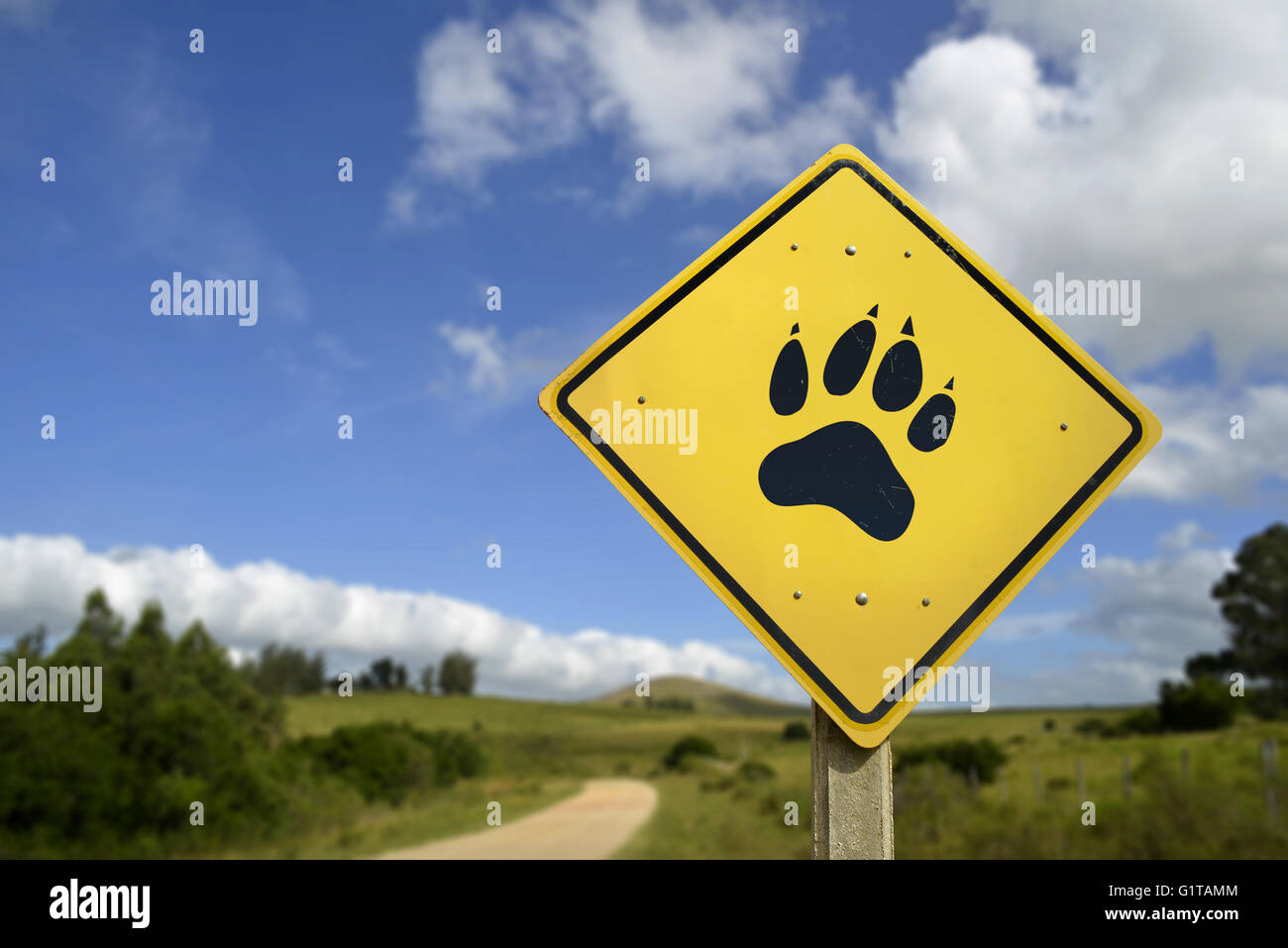 Tierischer Artenschutz, speichern Wildarten Konzept. Straßenschild mit Pfote Fuß Drucksymbol in Wildnis-Umgebung umfasst Stockfoto