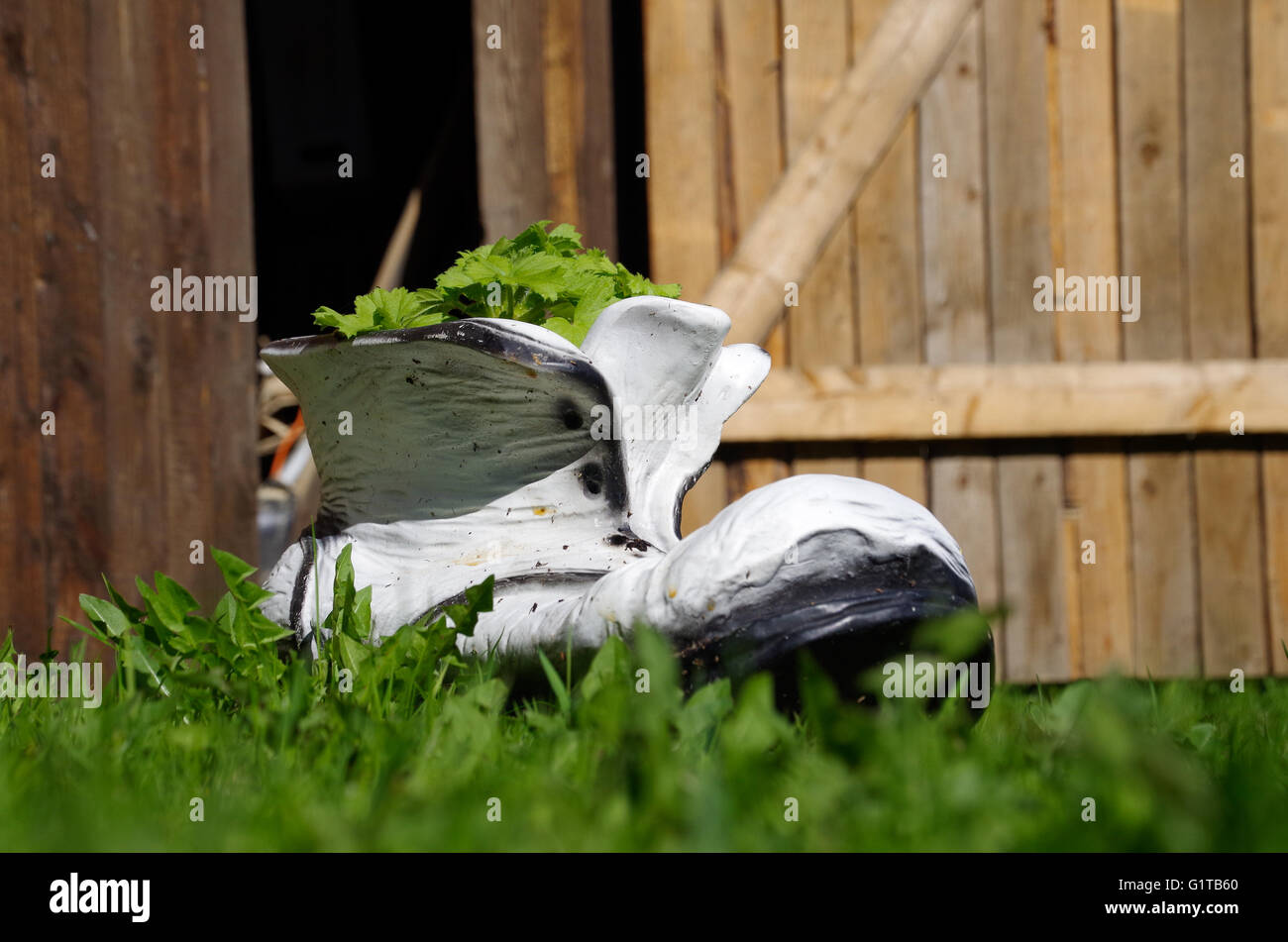 Boot-geformte Blumentopf in den Rasen im Hintergrund von Türen aus Holz Bauernhof Stockfoto