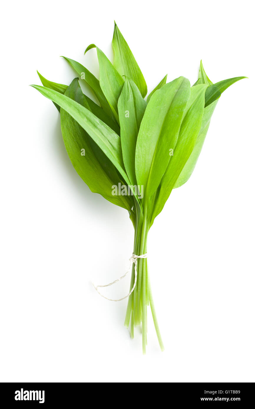Frischen Bärlauch-Blätter. Bärlauch lässt. Gesundes Gemüse. Stockfoto