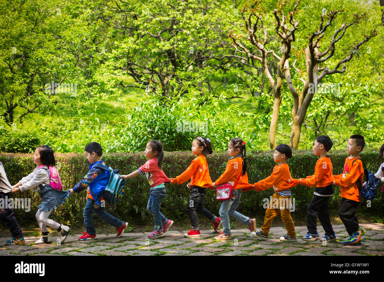Chinesische Schulkinder zu Fuß in einer Reihe während eines Ausflugs zu Purple Mountain Park, Nanjing / China Stockfoto