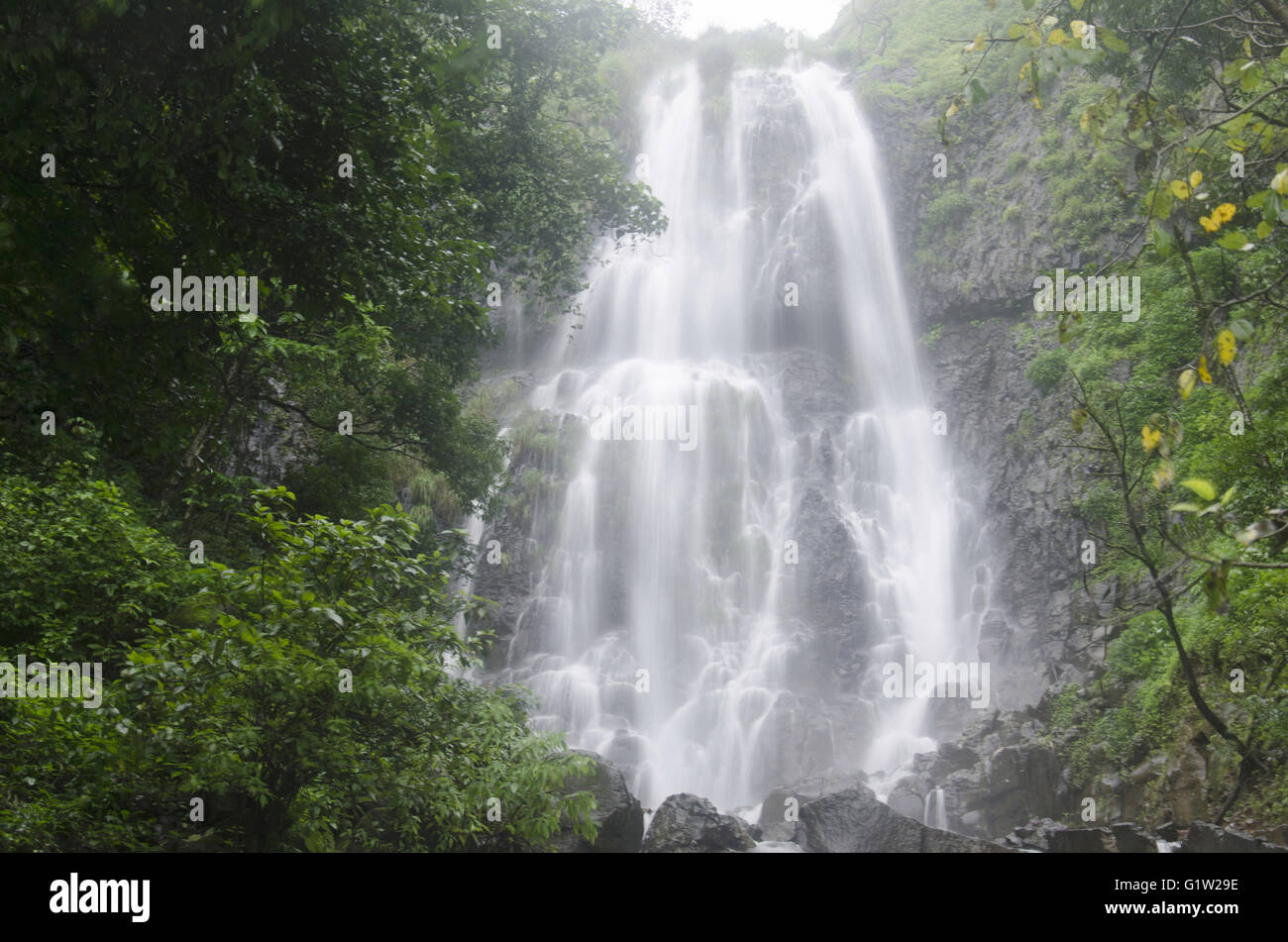 Wasserfall in der Regenzeit, in der Nähe von Ratnagiri, Maharashtra, Indien Stockfoto