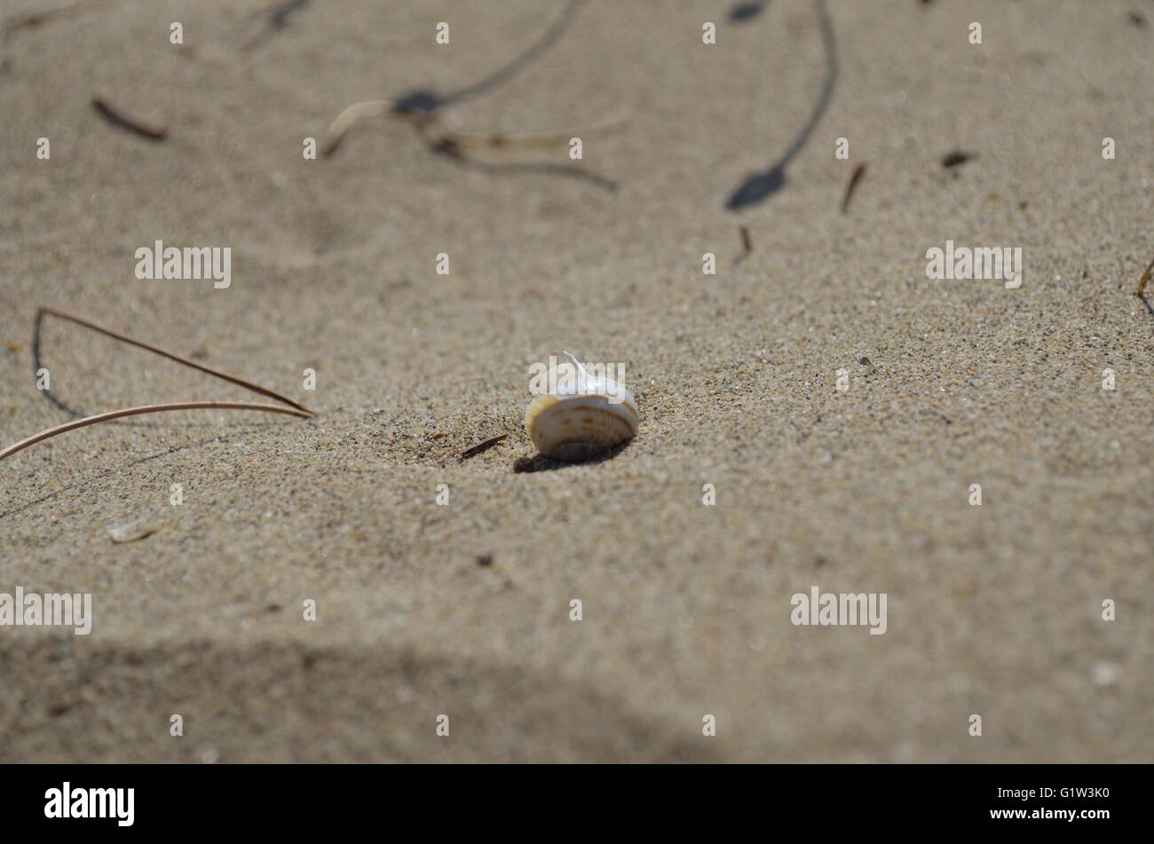 Ein Tag am Strand mit der Familie. Strand Schinias Marathonas Stadt 42 Killometers Weg von der Mitte von Athen, Griechenland. Stockfoto