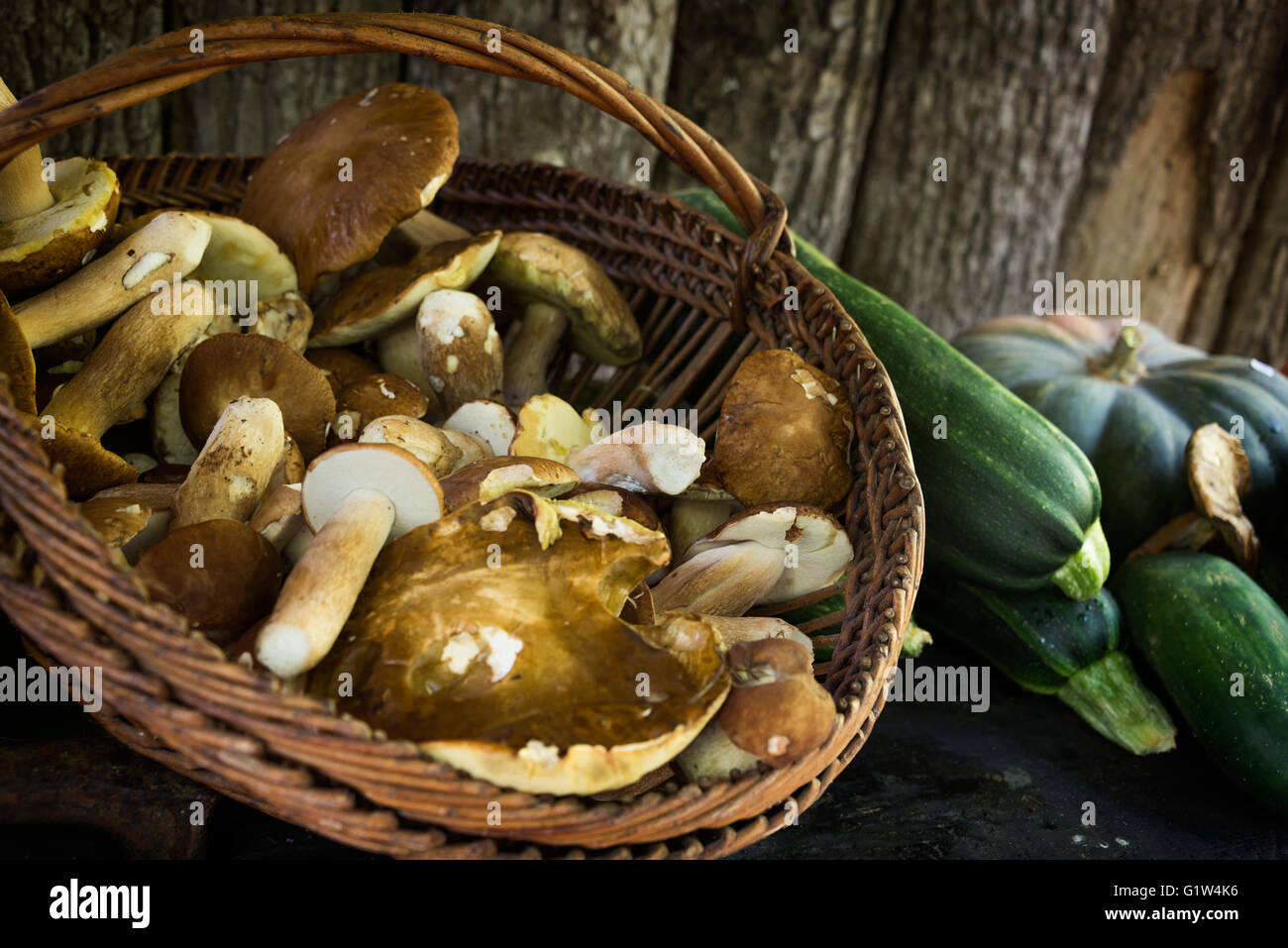 Stillleben mit Herbstgemüse wie ein Korb mit frisch gepflückten Steinpilzen, Zucchini und Kürbis mit einer Holzwand. Stockfoto