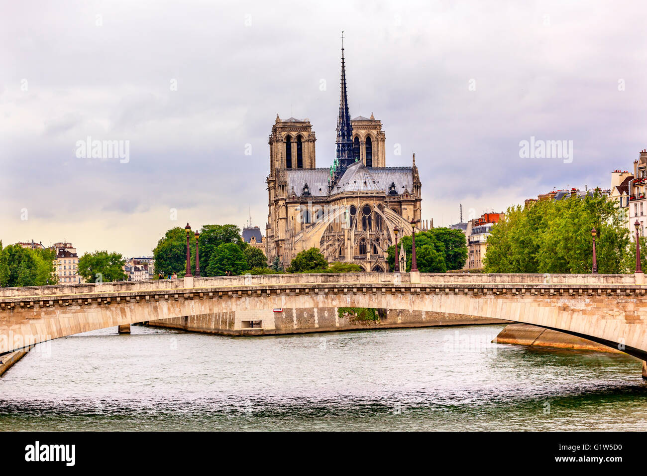 Fliegende Strebepfeiler Türme Türme Seine Flussbrücke bewölktem Himmel Notre Dame Kathedrale Paris Frankreich. Stockfoto