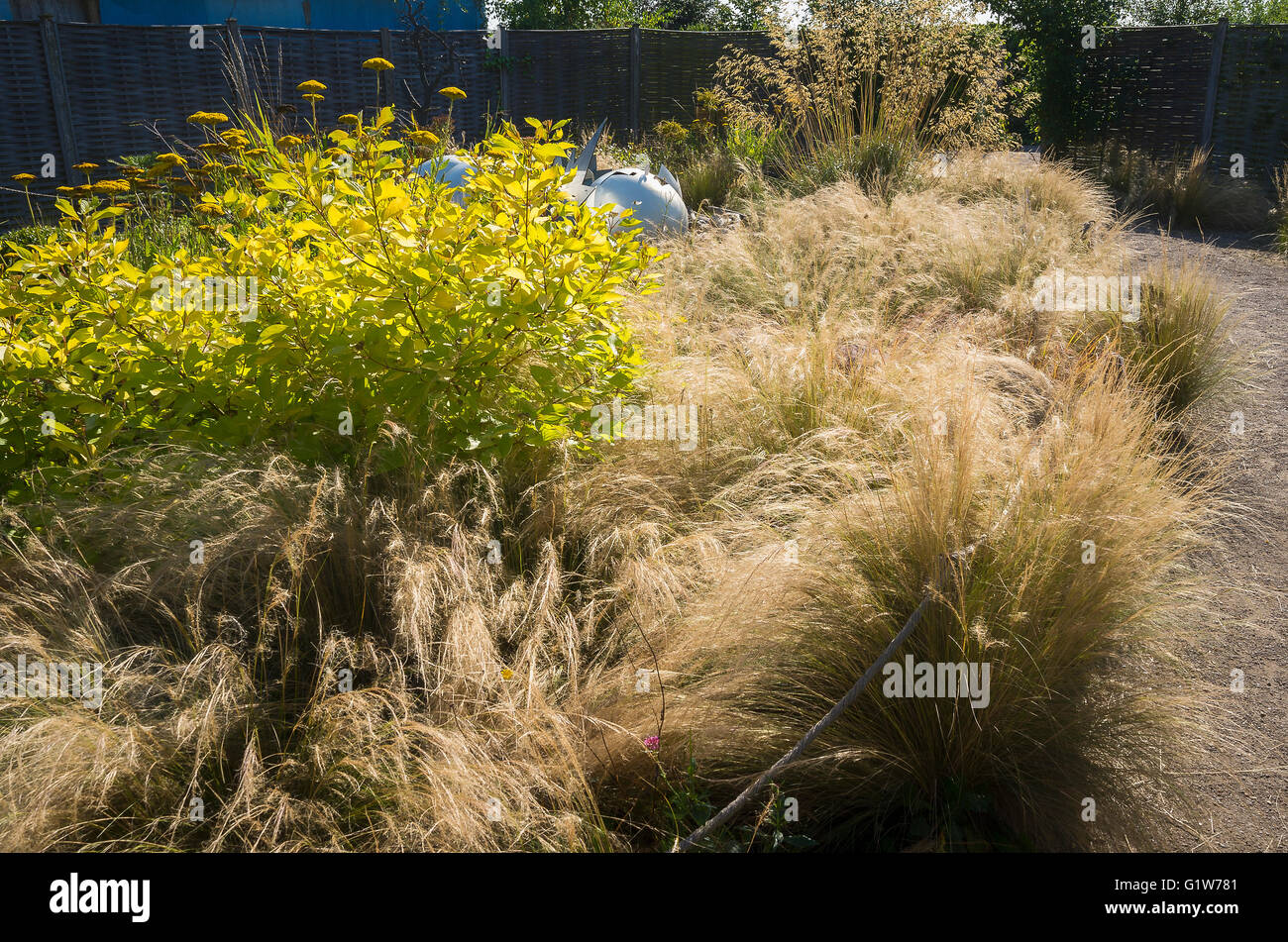 Eine Pampa-Stil informellen Garten zu nutzen der blühenden Gräser Stockfoto