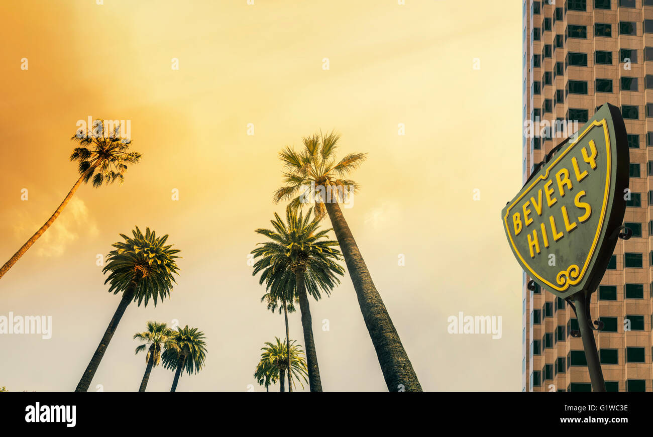 Los Angeles, Beverly Hill, West Coast Palm Tree Sonnenschein Stockfoto