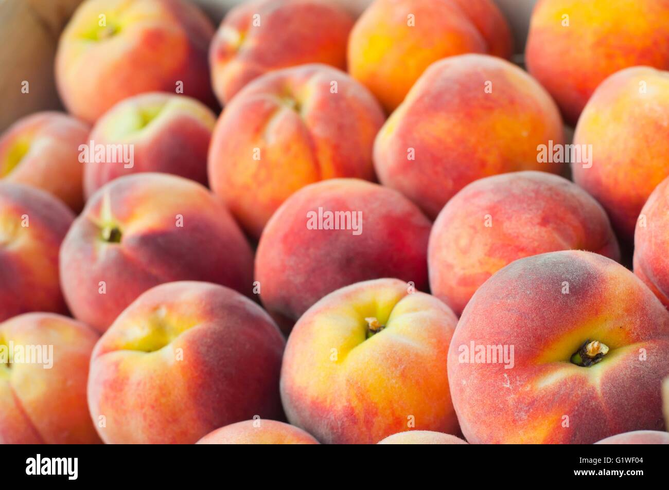 Frischen Pfirsich Heap. Obst-Hintergrund. Flachen DOF Stockfoto