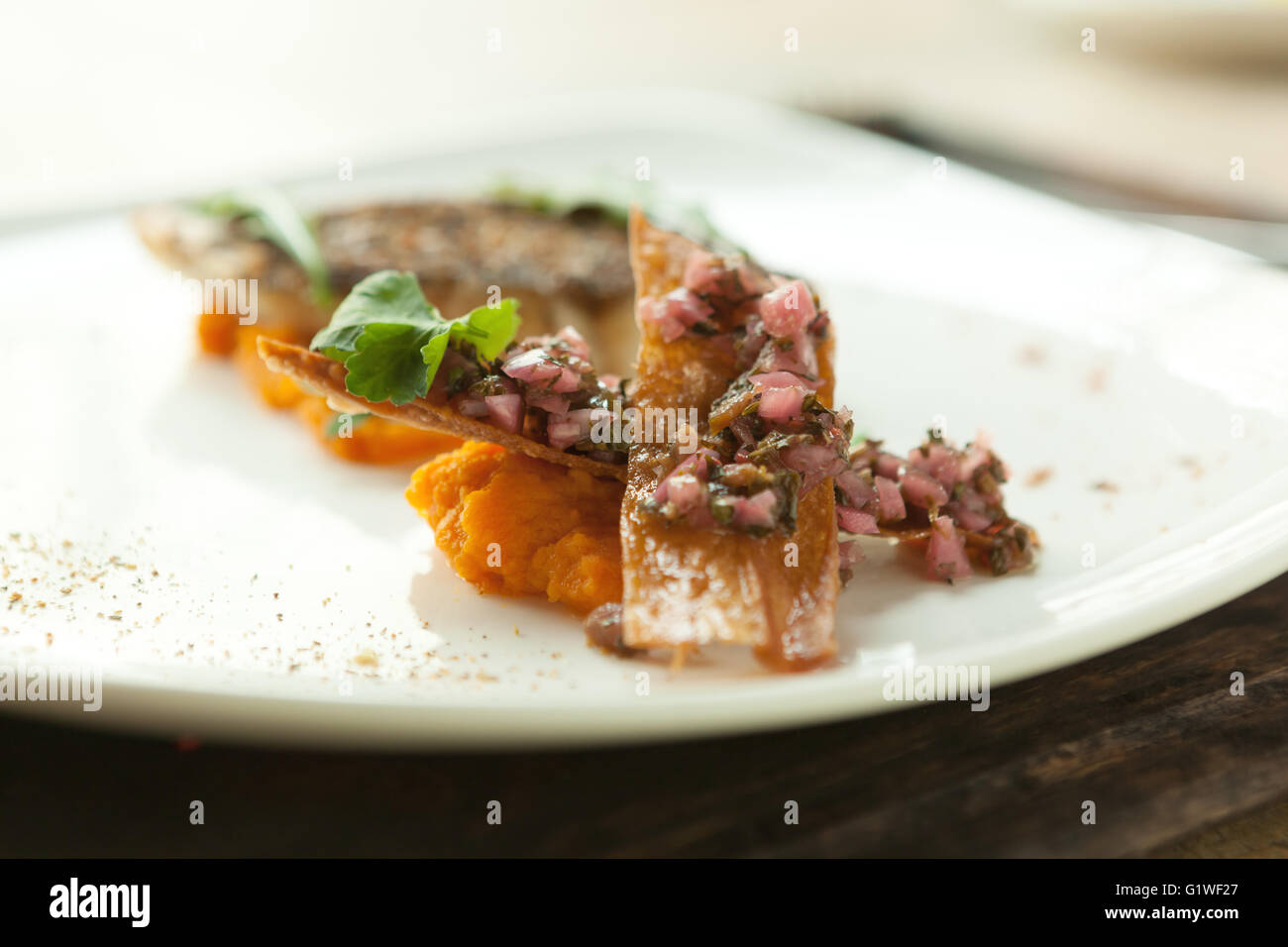Zanderfilet mit Gemüse-Sauce und mexikanische Salsa gebratener Barsch-Filet mit Gemüse-Püree. Stockfoto
