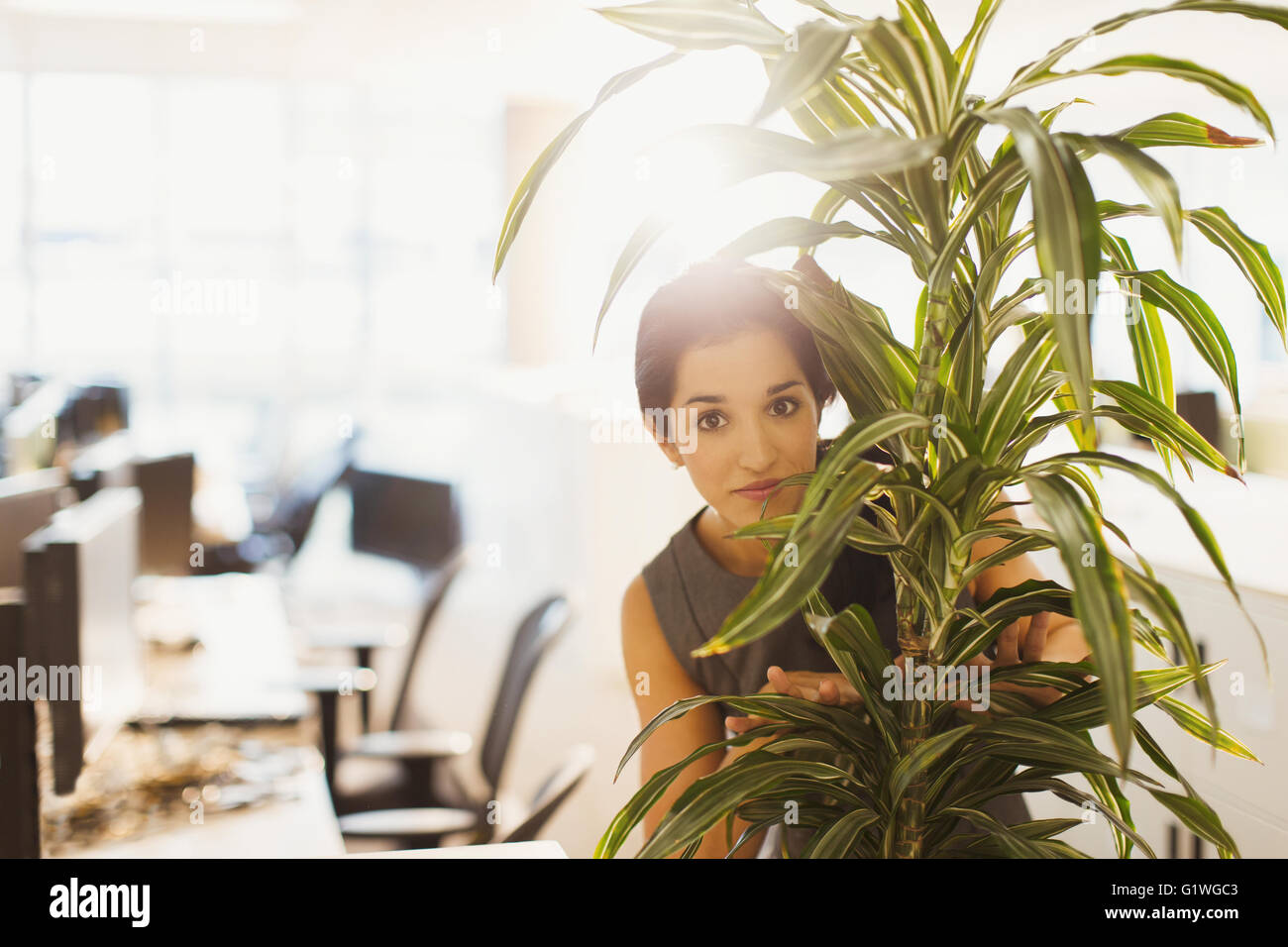 Porträt der Geschäftsfrau versteckt sich hinter Pflanzen im Büro Stockfoto