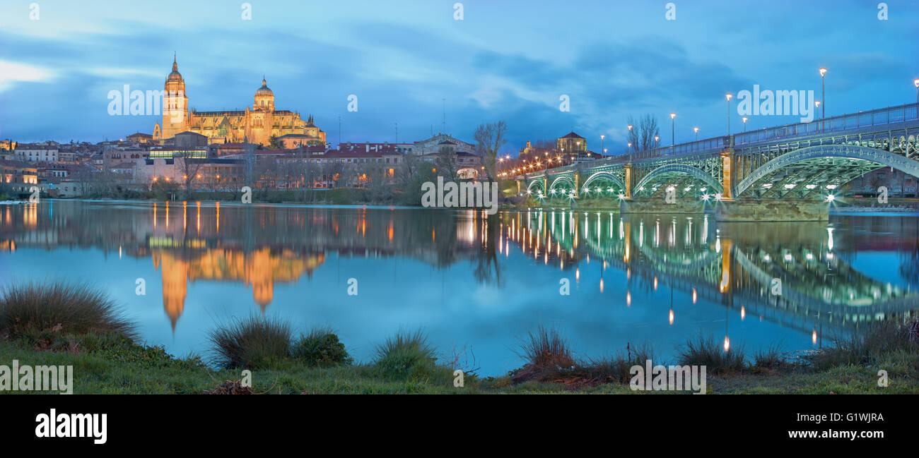 Salamanca - die Kathedrale und Brücke Puente Enrique Estevan Avda und des Rio Tormes-Flusses in der Abenddämmerung Stockfoto