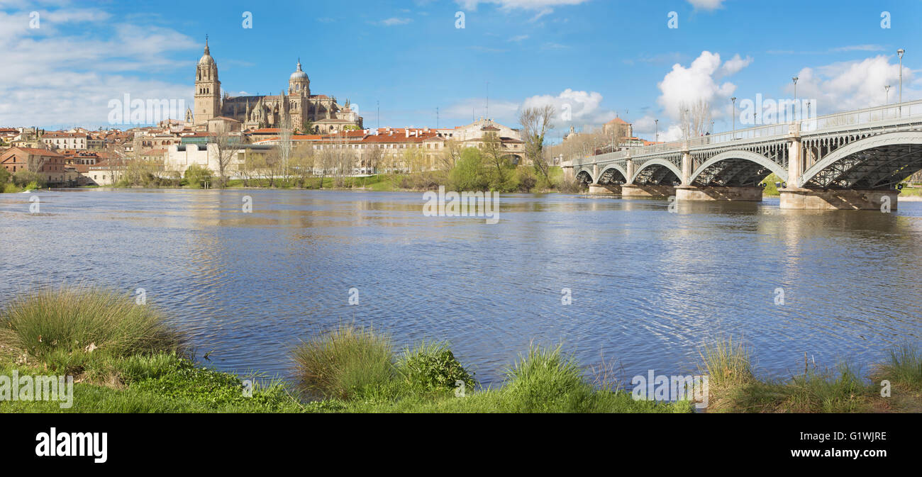 Salamanca - die Kathedrale und Brücke Puente Enrique Estevan Avda und des Rio Tormes-Flusses. Stockfoto