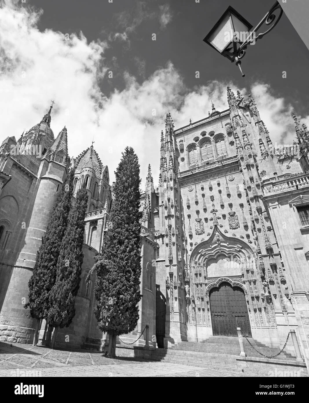 SALAMANCA, Spanien, APRIL - 17, 2016: Der Süden gotische Portal der Catedral Vieja - alte Kathedrale. Stockfoto