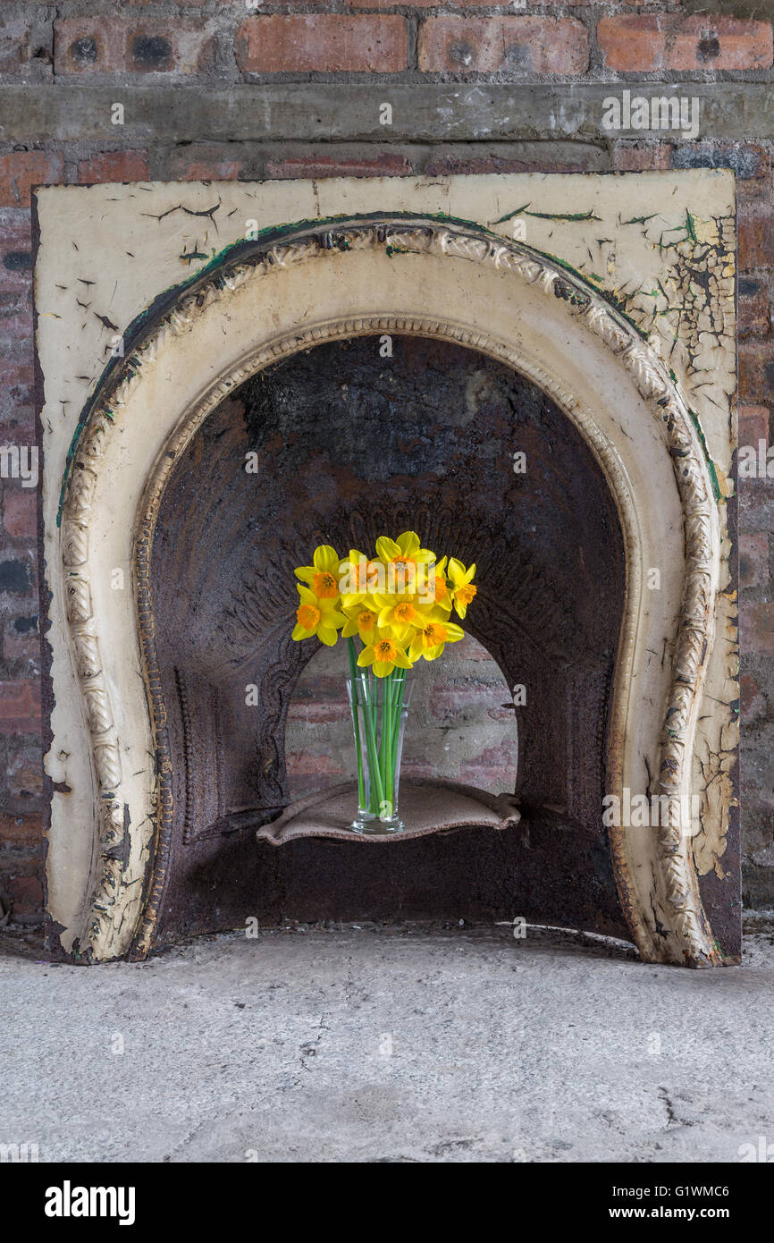 Eine Vase mit Narzissen in einem alten Gusseisen Kamin Stockfoto
