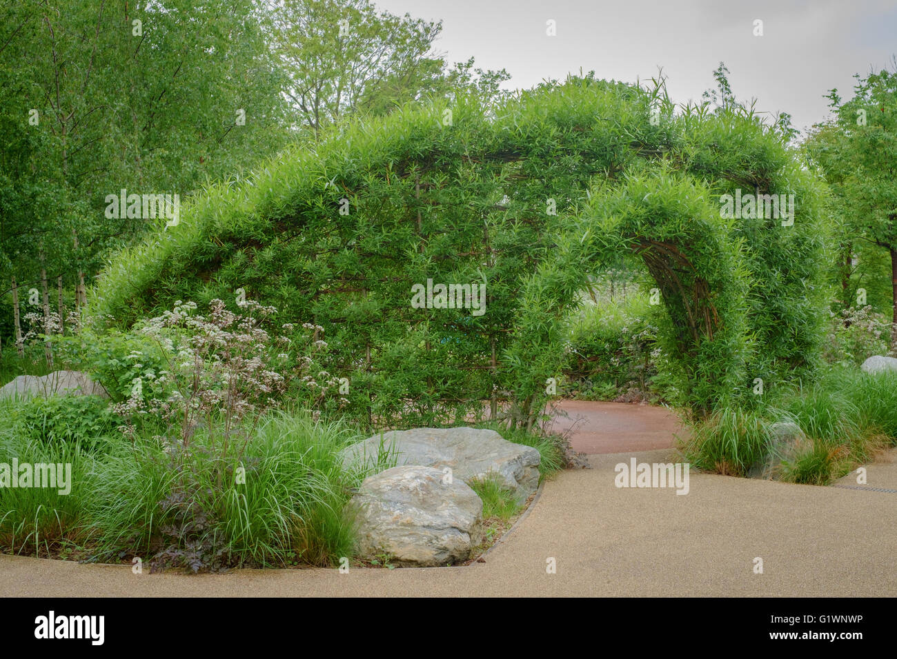 Willow Wohnskulptur in voller Blatt, im englischen Garten am Queen Elizabeth Olympic Park, London, UK Stockfoto