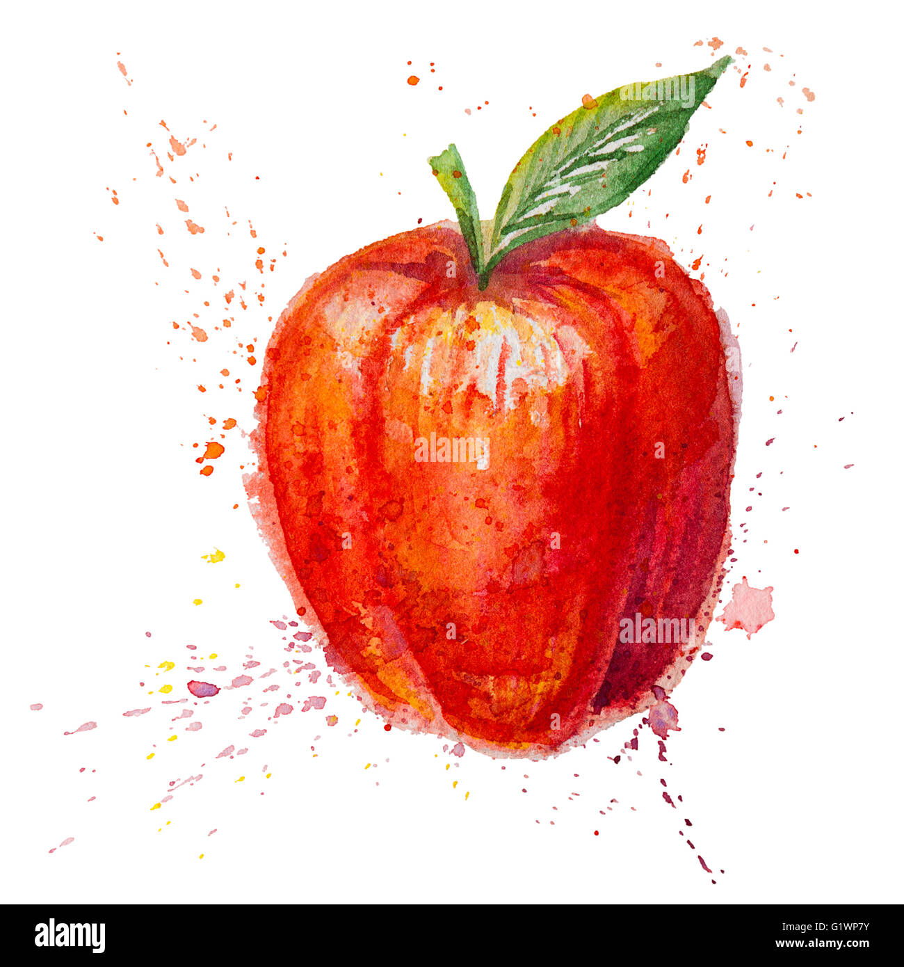 Aquarell isolierten roten Apfel Stockfoto