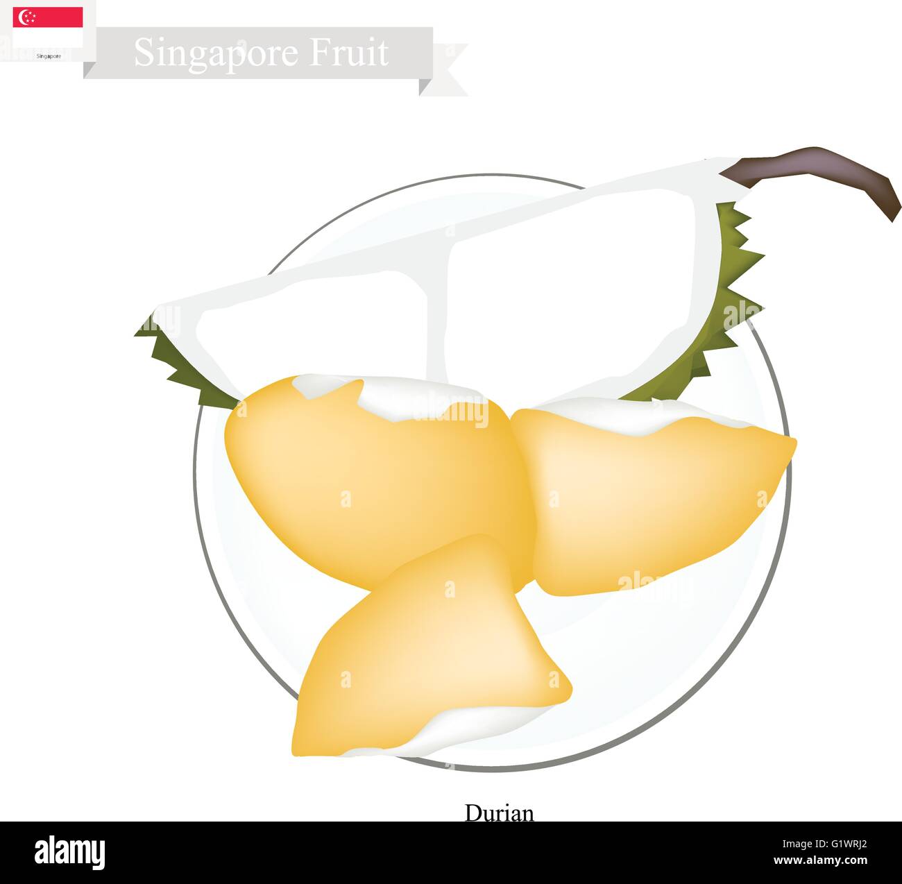 Singapur-Frucht, Illustration von Durian. Eine der beliebtesten Früchte in Brunei Singapur. Stock Vektor