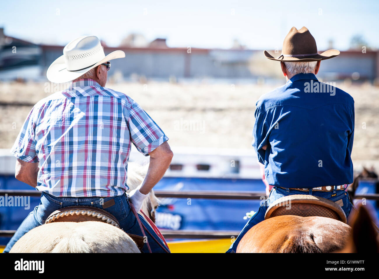 Wickenburg, USA - 5. Februar 2013: Fahrer konkurrieren in einem Team roping Wettbewerb in Wickenburg, Arizona, USA Stockfoto